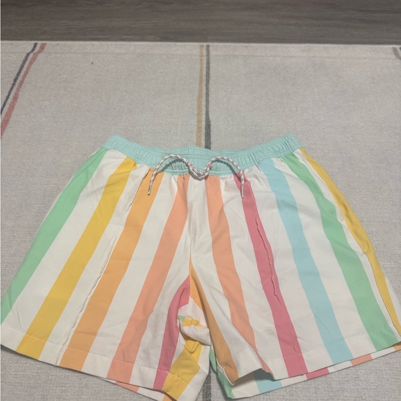 Chubbies Pastel Striped Swim Trunks - Picture 2 of 4